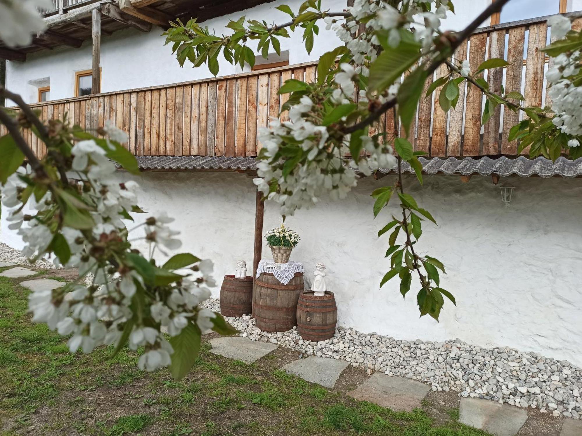 Natur Appartments Riesen Сан-Лоренцо-ди-Себато Экстерьер фото