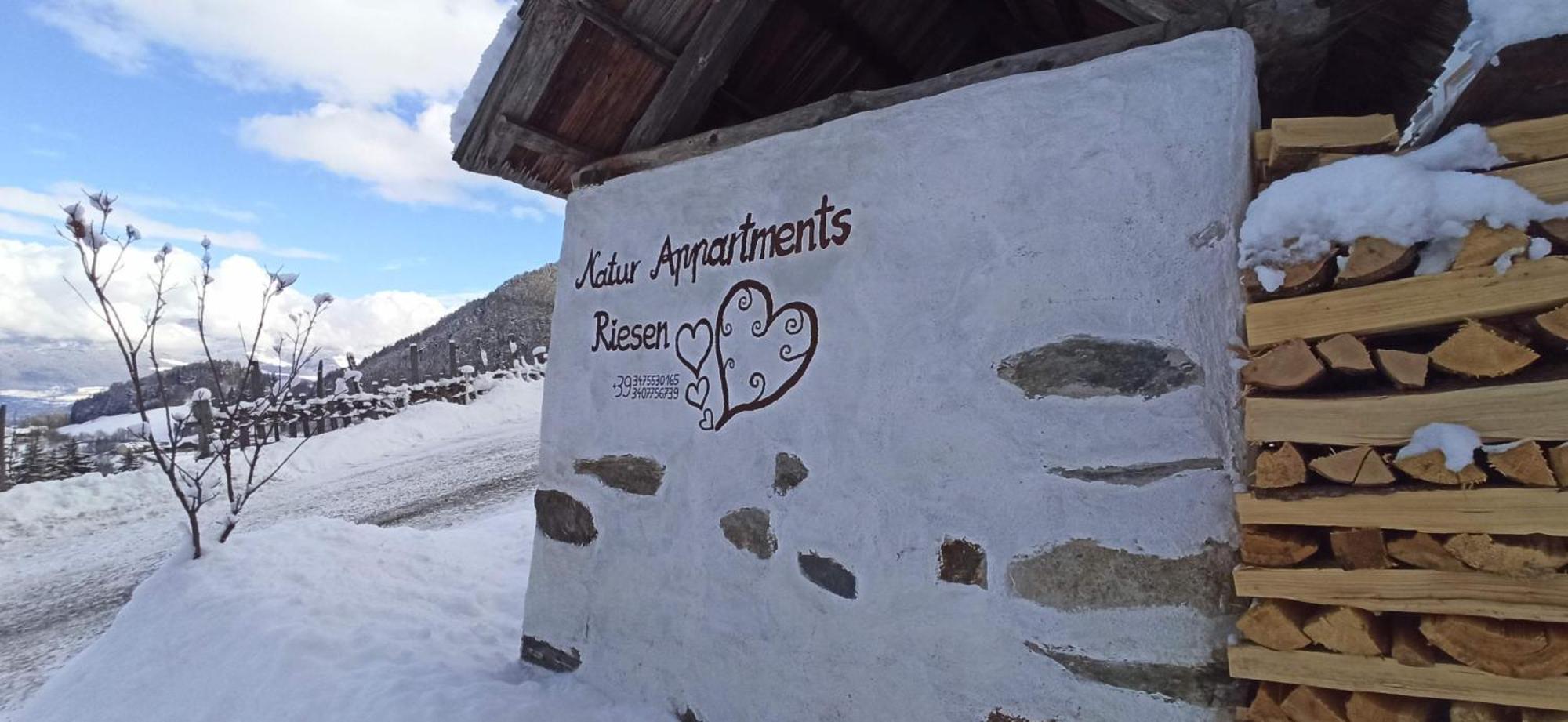 Natur Appartments Riesen Сан-Лоренцо-ди-Себато Экстерьер фото